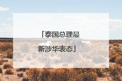 泰国总理最新涉华表态