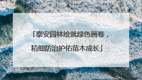 泰安园林绘就绿色画卷，精细防治护佑苗木成长
