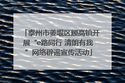 泰州市姜堰区顾高镇开展“e路同行 清朗有我”网络辟谣宣传活动