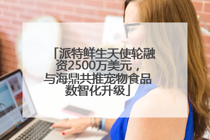 派特鲜生天使轮融资2500万美元，与海鼎共推宠物食品数智化升级