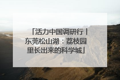 活力中国调研行丨东莞松山湖：荔枝园里长出来的科学城