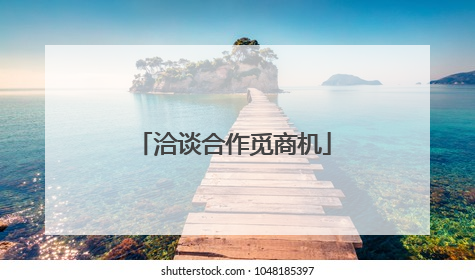 洽谈合作觅商机