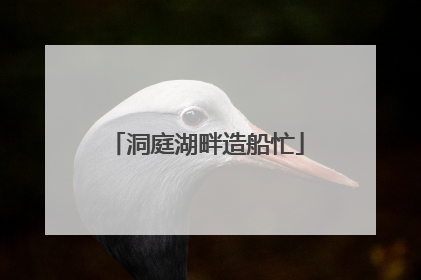 洞庭湖畔造船忙