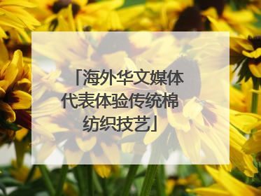海外华文媒体代表体验传统棉纺织技艺