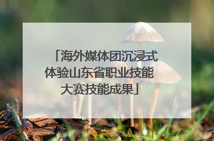 海外媒体团沉浸式体验山东省职业技能大赛技能成果