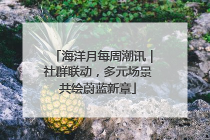 海洋月每周潮讯｜社群联动，多元场景共绘蔚蓝新章