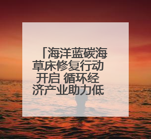 海洋蓝碳海草床修复行动开启 循环经济产业助力低碳社会建设丨新经济观察