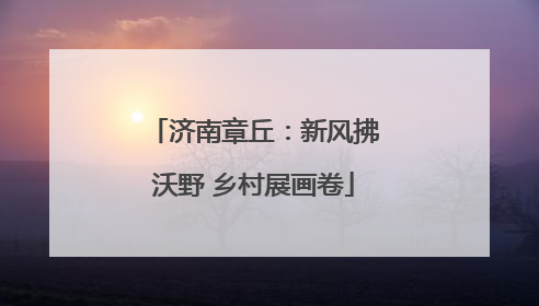 济南章丘：新风拂沃野 乡村展画卷