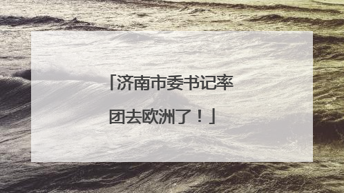 济南市委书记率团去欧洲了！