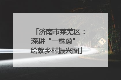 济南市莱芜区：深耕“一株桑” 绘就乡村振兴图