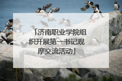 济南职业学院组织开展第一书记观摩交流活动
