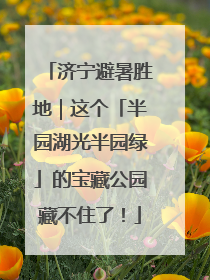 济宁避暑胜地｜这个「半园湖光半园绿」的宝藏公园藏不住了！