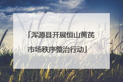 浑源县开展恒山黄芪市场秩序整治行动