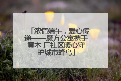 浓情端午，爱心传递——魔方公寓携手黄木 厂社区暖心守护城市蜂鸟