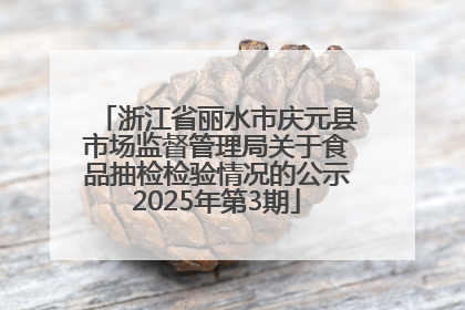 浙江省丽水市庆元县市场监督管理局关于食品抽检检验情况的公示2025年第3期