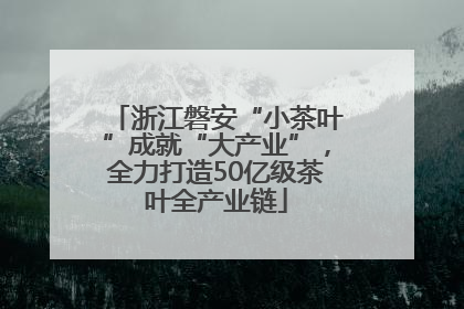 浙江磐安“小茶叶”成就“大产业”，全力打造50亿级茶叶全产业链