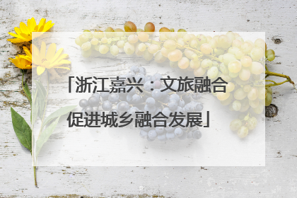 浙江嘉兴：文旅融合促进城乡融合发展