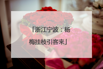 浙江宁波：杨梅挂枝引客来