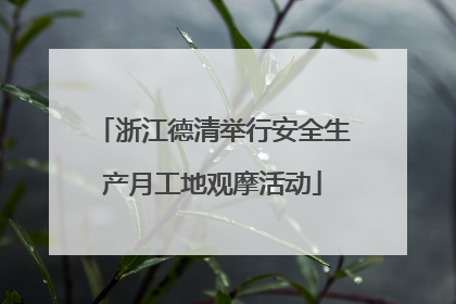 浙江德清举行安全生产月工地观摩活动