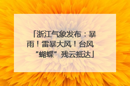 浙江气象发布：暴雨！雷暴大风！台风“蝴蝶”残云抵达