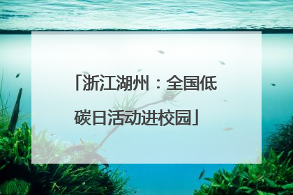 浙江湖州：全国低碳日活动进校园