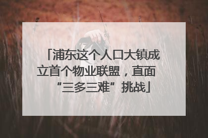 浦东这个人口大镇成立首个物业联盟，直面“三多三难”挑战