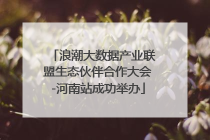浪潮大数据产业联盟生态伙伴合作大会-河南站成功举办