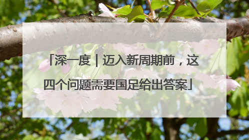 深一度｜迈入新周期前，这四个问题需要国足给出答案