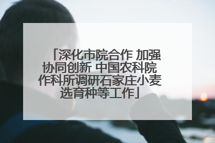 深化市院合作 加强协同创新 中国农科院作科所调研石家庄小麦选育种等工作