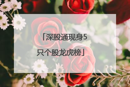 深股通现身5只个股龙虎榜