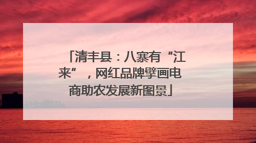 清丰县：八寨有“江来”，网红品牌擘画电商助农发展新图景