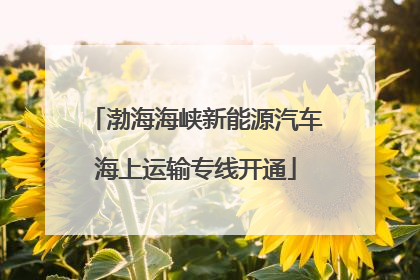 渤海海峡新能源汽车海上运输专线开通