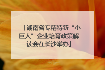 湖南省专精特新“小巨人”企业培育政策解读会在长沙举办