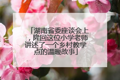 湖南省委座谈会上，隆回这位小学老师讲述了一个乡村教学点的温暖故事