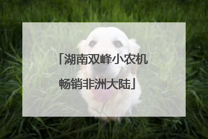 湖南双峰小农机畅销非洲大陆