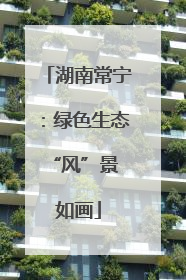 湖南常宁：绿色生态 “风”景如画
