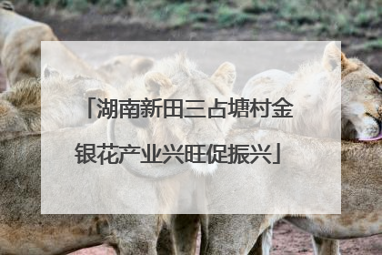 湖南新田三占塘村金银花产业兴旺促振兴