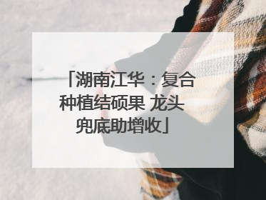 湖南江华：复合种植结硕果 龙头兜底助增收