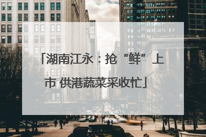 湖南江永：抢“鲜”上市 供港蔬菜采收忙