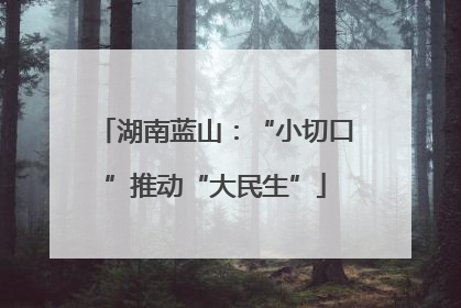 湖南蓝山：“小切口”推动“大民生”