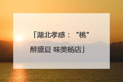 湖北孝感：“桃”醉盛夏 味美杨店