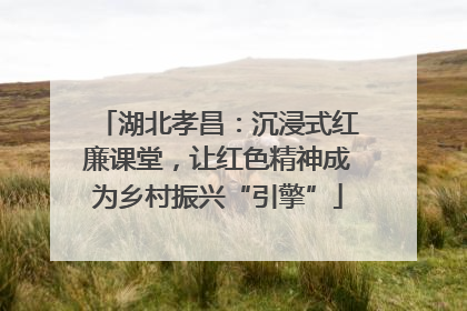 湖北孝昌：沉浸式红廉课堂，让红色精神成为乡村振兴“引擎”