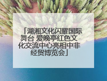 湖湘文化闪耀国际舞台 爱晚亭红色文化交流中心亮相中非经贸博览会