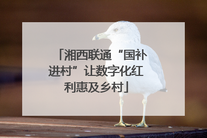 湘西联通“国补进村”让数字化红利惠及乡村
