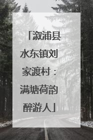 溆浦县水东镇刘家渡村：满塘荷韵醉游人