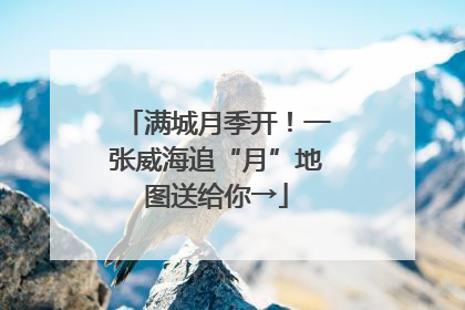 满城月季开！一张威海追“月”地图送给你→