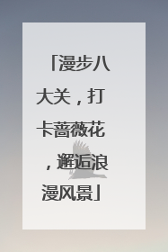 漫步八大关，打卡蔷薇花，邂逅浪漫风景