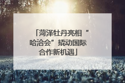 菏泽牡丹亮相“哈洽会”撬动国际合作新机遇