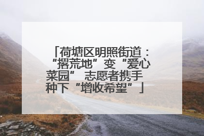 荷塘区明照街道：“撂荒地”变“爱心菜园” 志愿者携手种下“增收希望”