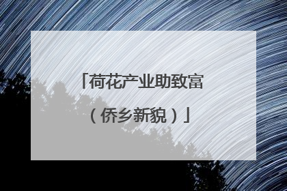 荷花产业助致富（侨乡新貌）